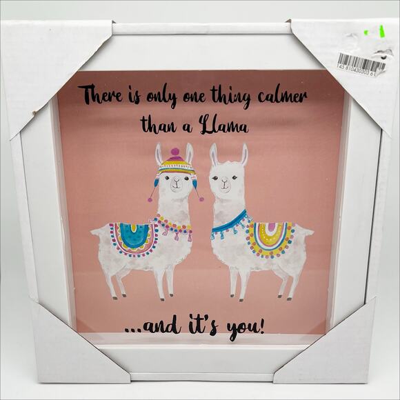 NEW Set of 2 Llama Framed Wall Art Shadow Box Wall Hangings - Picture 3 of 3